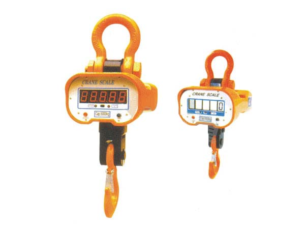 美國(guó)艾培爾 直視型電子吊秤CSR-A CSR-B
